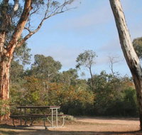 Drummonds Camp at Avon Valley National Park - Sunshine Coast Tourism