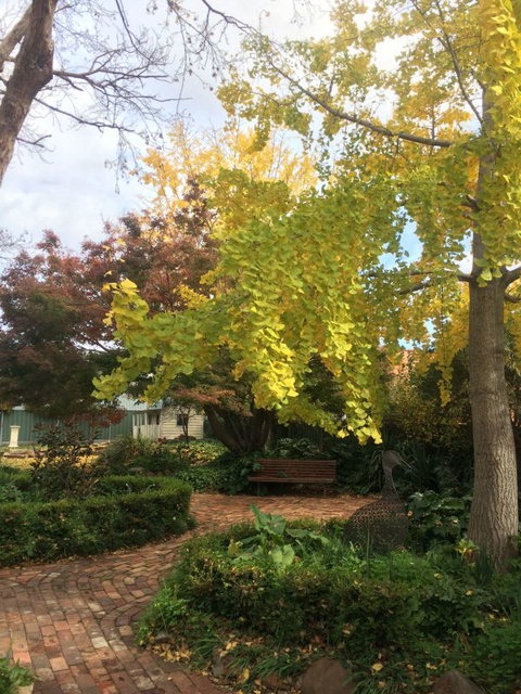 Cawarra On The Park - Sunshine Coast Tourism 5