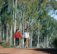 Congelin Camp at Dryandra Woodland - Holiday Sunshine Coast