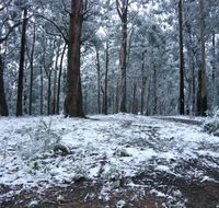 High Peaks Cottages - Sunshine Coast Tourism