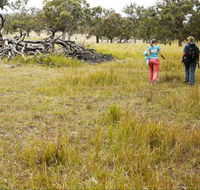 Carnarvon National Park camping - Holiday Sunshine Coast