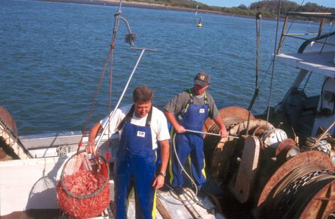 Comarong Cottage - Sunshine Coast Tourism 9