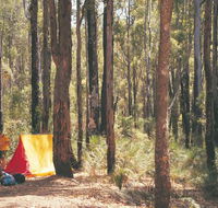 Nanga Mill Camp at Lane Poole Reserve - Sunshine Coast Tourism