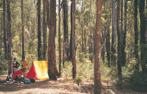 Nanga Mill Camp At Lane Poole Reserve - Sunshine Coast Tourism 0
