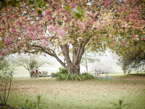 WillOaks B&B - Sunshine Coast Tourism 8