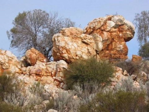 Credo Homestead Camp At Credo Conservation Park - Holiday Sunshine Coast 0