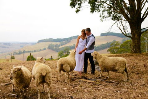 Halcyon Cottage Retreat - Self Contained Accommodation - Holiday Sunshine Coast 2