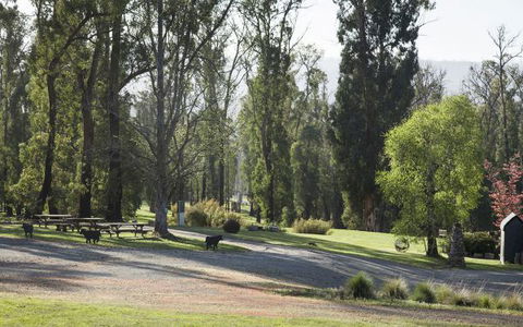 Saladin Lodge - Holiday Sunshine Coast 5