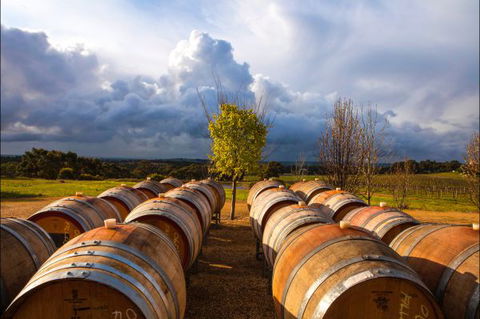 Barossa Chateau - Sunshine Coast Tourism 4