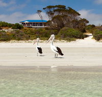 Kangaroo Island Star Beach House - Sunshine Coast Tourism