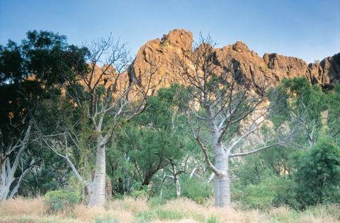 Windjana Gorge Camp At Windjana Gorge National Park - Sunshine Coast Tourism 1