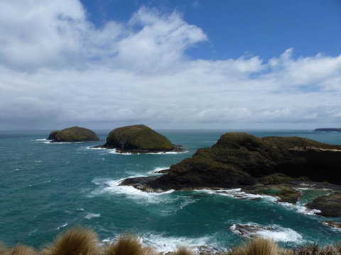 Arties Cottage Accommodation - Sunshine Coast Tourism 9