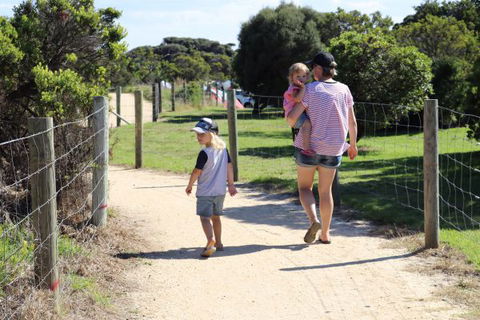 Anglesea Family Caravan Park - Holiday Sunshine Coast 4