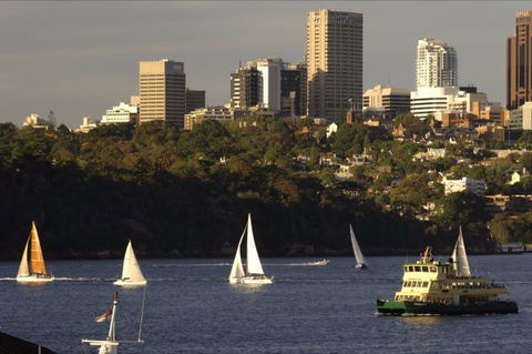 An Oasis In The City - Holiday Sunshine Coast 4