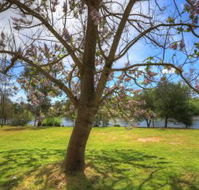 Breakaway Twin Rivers Caravan Park - Holiday Sunshine Coast