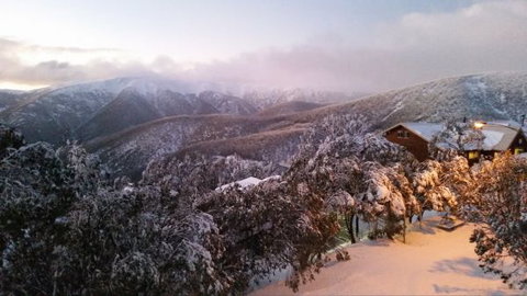 Cedarwood Apartments - Holiday Sunshine Coast 1