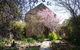 Christabelle Cottage - thumb 1