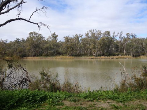 Chowilla Station Shearer's Quarters Accommodation - Sunshine Coast Tourism 1