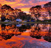 Coonawarra Bush Holiday Park - Holiday Sunshine Coast