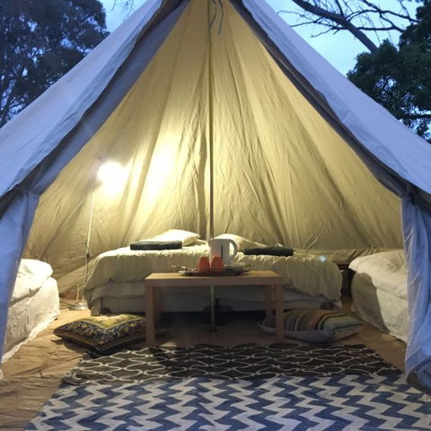 Coonawarra Bush Holiday Park - Holiday Sunshine Coast 1