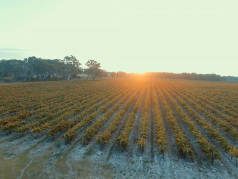 Coonawarra Bush Holiday Park - Holiday Sunshine Coast 7