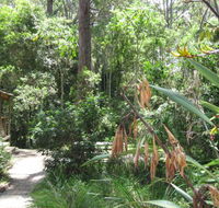Dunns Creek Downs Nature Stay - Sunshine Coast Tourism