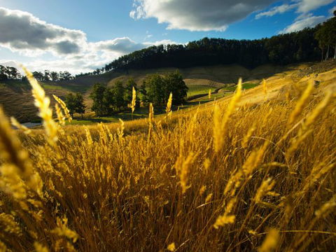 Frenchman's River - The Writer's House - Holiday Sunshine Coast 9