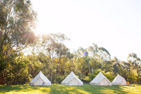 Happy Glamper Mornington Peninsula - Holiday Sunshine Coast 2