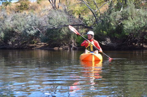 Hawthorn Lodge - Holiday Sunshine Coast 8