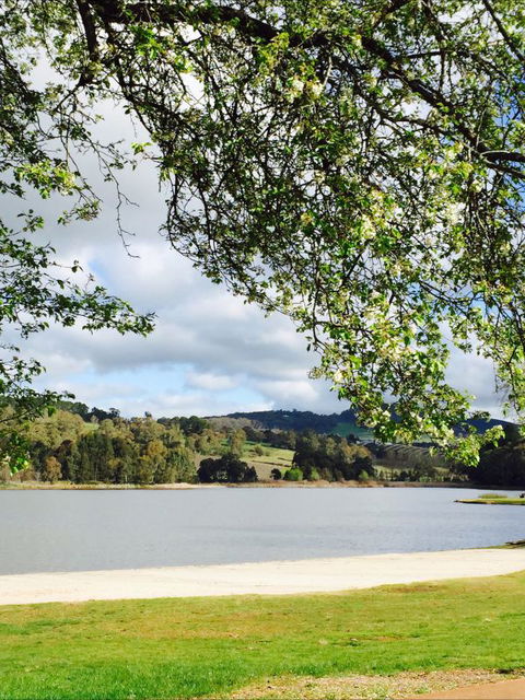 Hamer House - Holiday Sunshine Coast 5