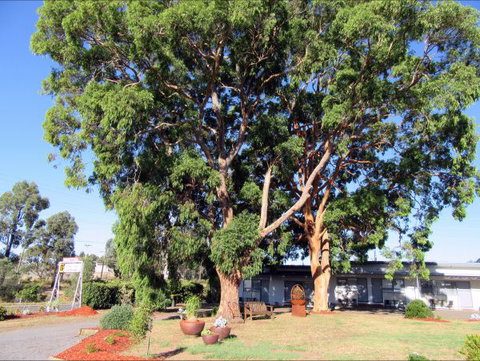 Highlander Haven Motel - Sunshine Coast Tourism 3