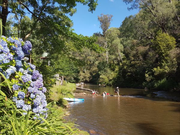  Sunshine Coast Tourism