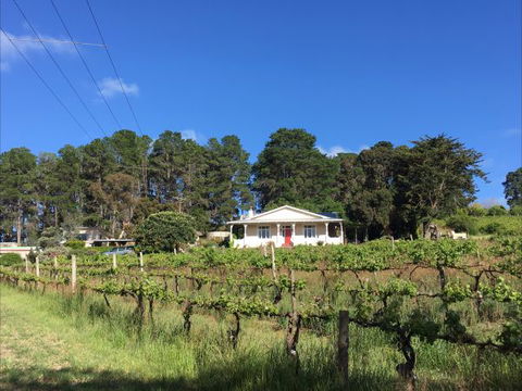 Karawatha Cottages B&B - Holiday Sunshine Coast 1