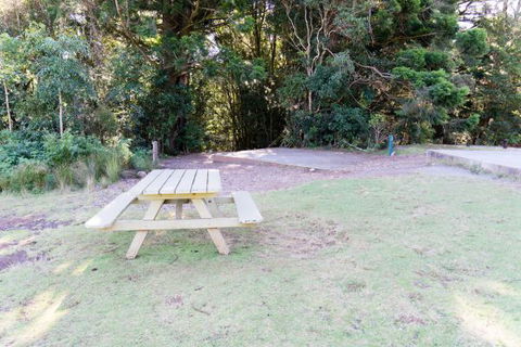 Lamington National Park Camping Ground - Sunshine Coast Tourism 2