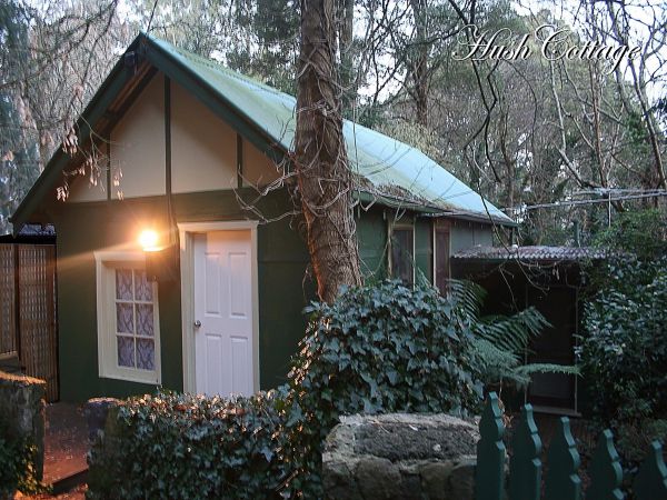The Patch VIC Sunshine Coast Tourism