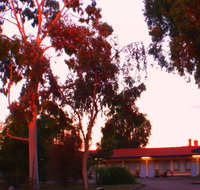 Murray Bridge Central Olympic Motel and Cottages - Sunshine Coast Tourism