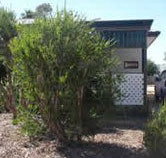 Loxton Smiffy's Bed And Breakfast Coral Street - Sunshine Coast Tourism