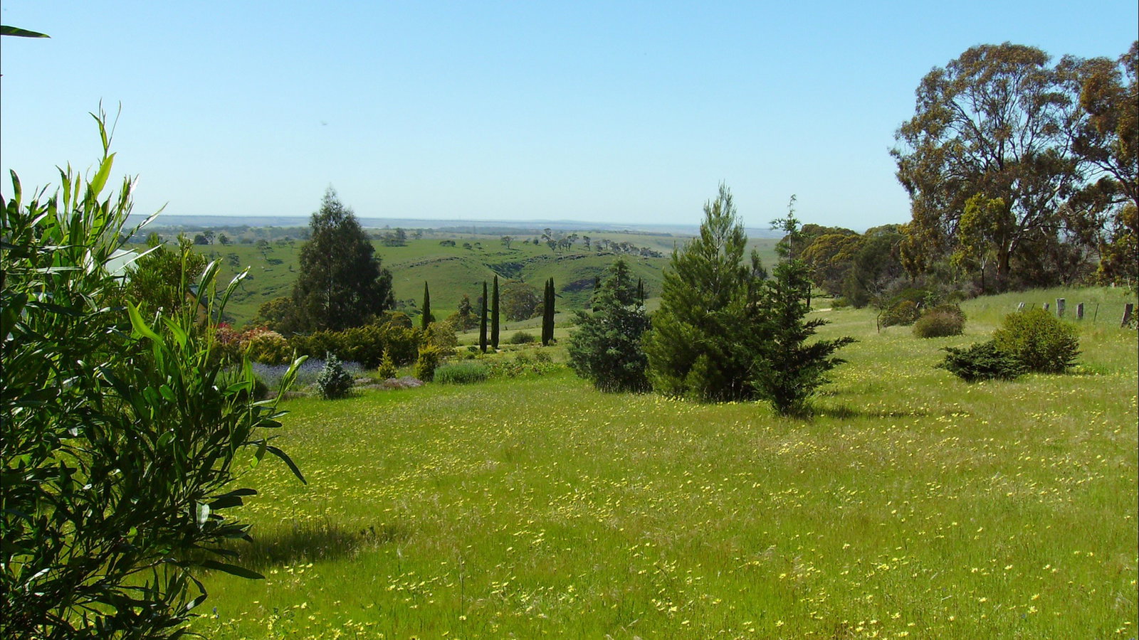 Dawesley SA Holiday Sunshine Coast