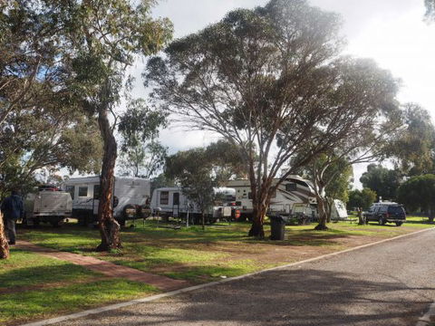 Murray Bridge Marina Camping And Caravan Park - Holiday Sunshine Coast 4