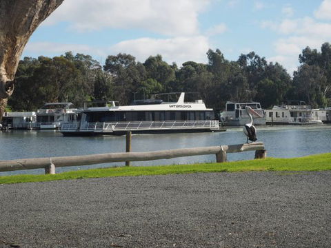 Murray Bridge Marina Camping And Caravan Park - Holiday Sunshine Coast 6
