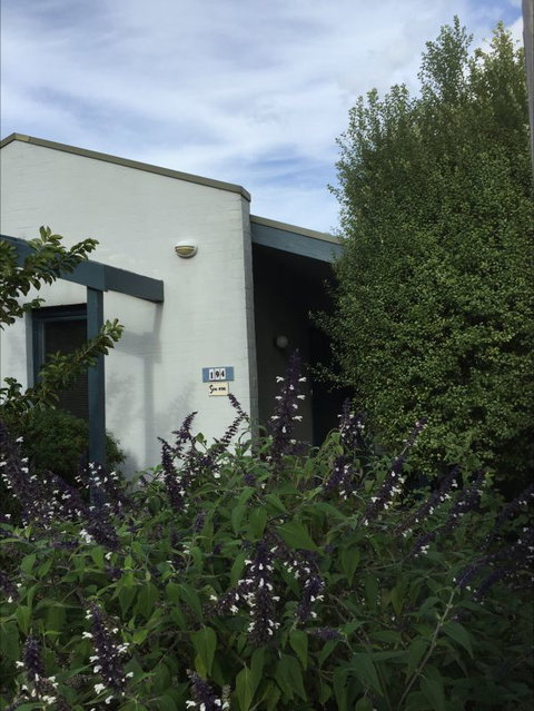 Sea-Ena - Sunshine Coast Tourism 1