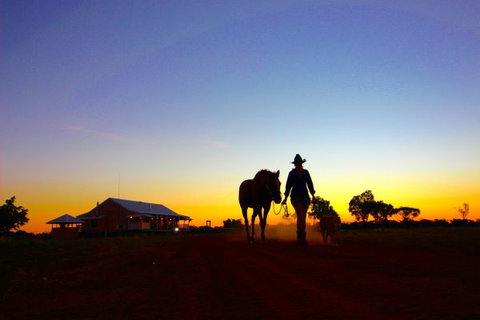 Shandonvale Station - Sunshine Coast Tourism 0