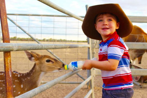 Shandonvale Station - Sunshine Coast Tourism 9