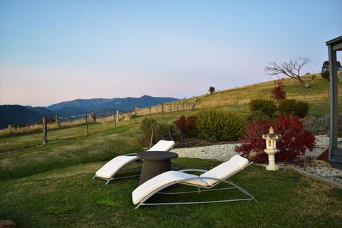 Wild Dog Rise - Sunshine Coast Tourism 8