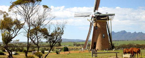 The Lily Stirling Range - Sunshine Coast Tourism 1