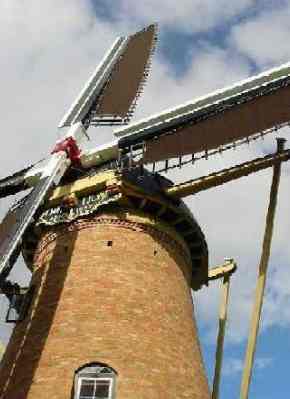 The Lily Stirling Range - Sunshine Coast Tourism 17