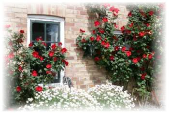 The Lily Stirling Range - Sunshine Coast Tourism 10