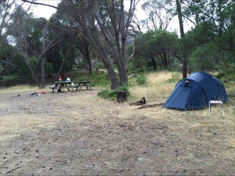 Allports Beach Camping Ground - Holiday Sunshine Coast 0