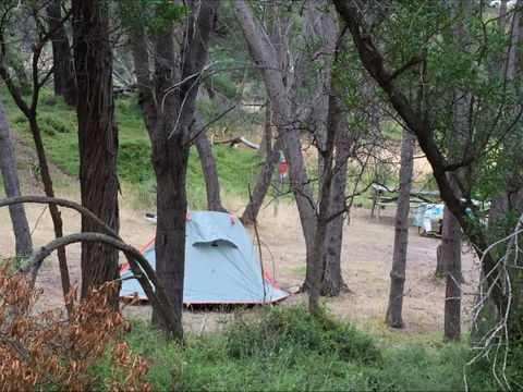 Allports Beach Camping Ground - Holiday Sunshine Coast 5