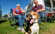 BIG4 Hopkins River Holiday Park - thumb 7
